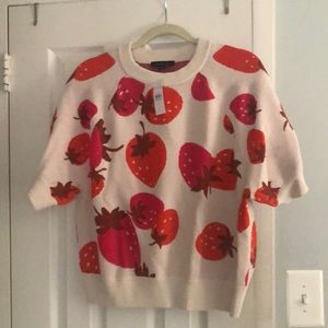 NWT Ann Taylor Strawberry Print Sweater